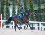 Belinda FZ Tosc Tour2013- S5 1936 : Arezzo, Belinda FZ, Cavalli d'Italia, Toscana Tour 2013, foto di Stefano Secchi ©